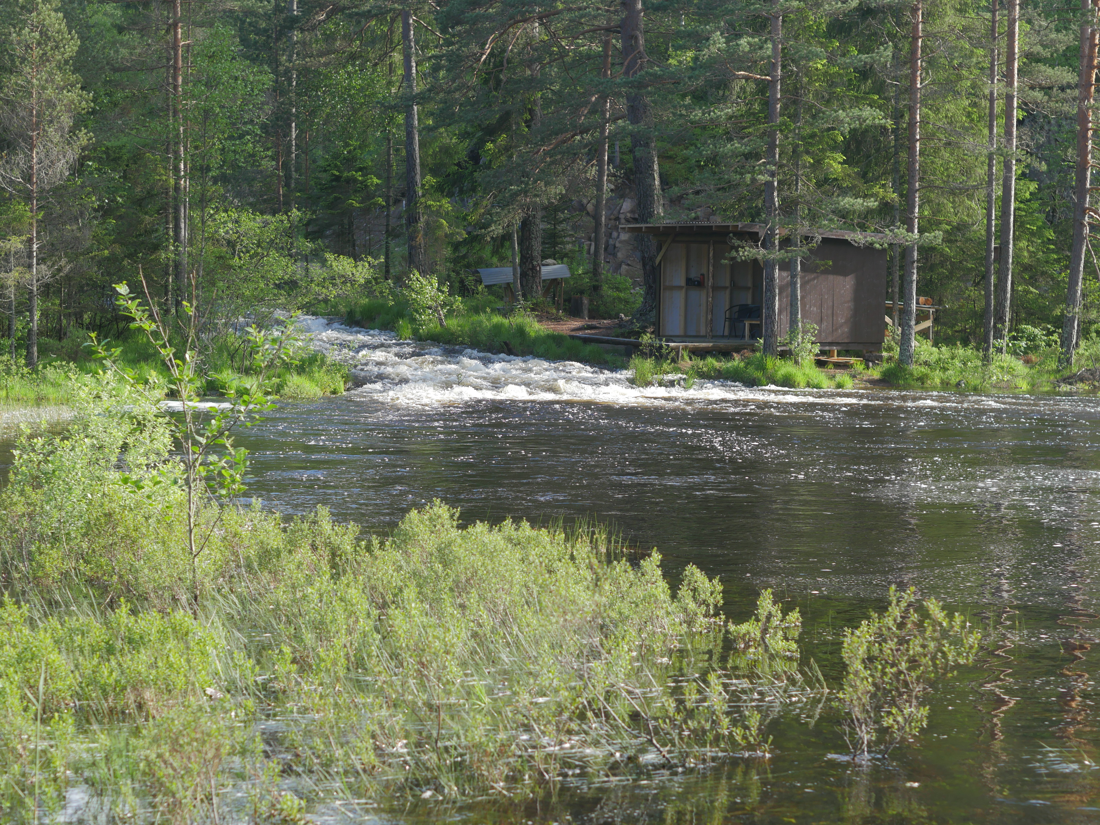Der Heivannsbekken renner ut i Galtetjønn ligger Rubens plass. (Foto: Rune Myrland)
